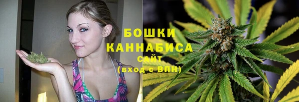 индика Белокуриха