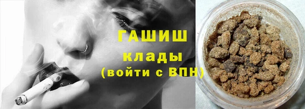 индика Белокуриха