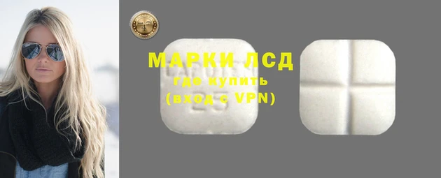 индика Белокуриха