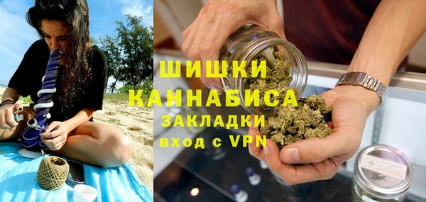 индика Белокуриха