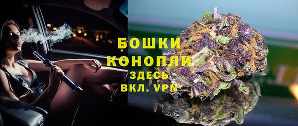 индика Белокуриха
