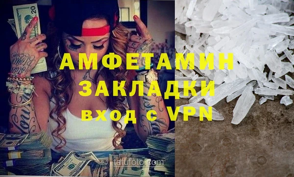 индика Белокуриха