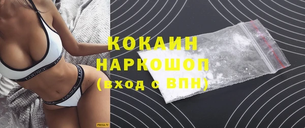индика Белокуриха