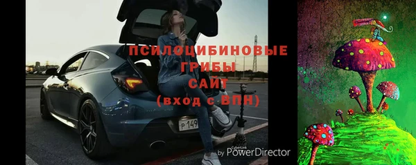 индика Белокуриха