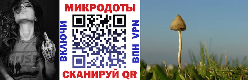 Псилоцибиновые грибы Psilocybe  нарко площадка формула  Хвалынск  купить наркоту 