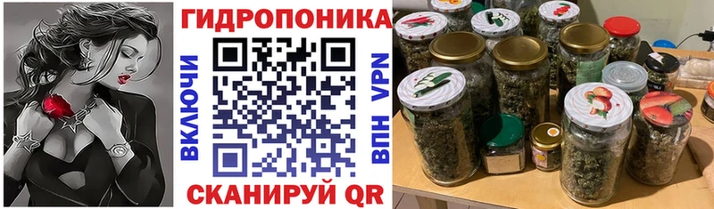 Конопля White Widow Хвалынск